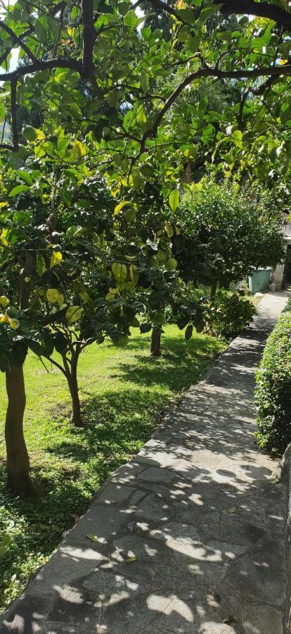 B&B Oasi Regina Pacis Santa Margherita Ligure Exterior photo